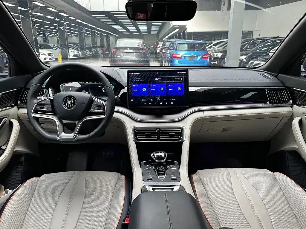 BYD PLUS New Energy — фото 10