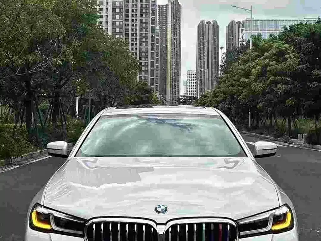 BMW 5 Series New Energy