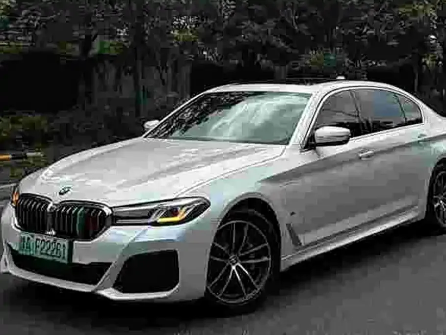 BMW 5 Series New Energy 2021 из CN, фото 5
