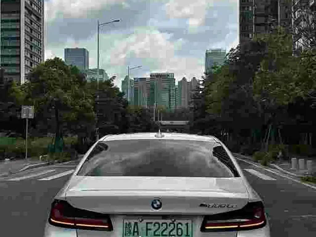 BMW 5 Series New Energy 2021 из CN, фото 4