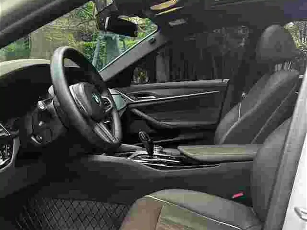 BMW 5 Series New Energy 2021 из CN, фото 6