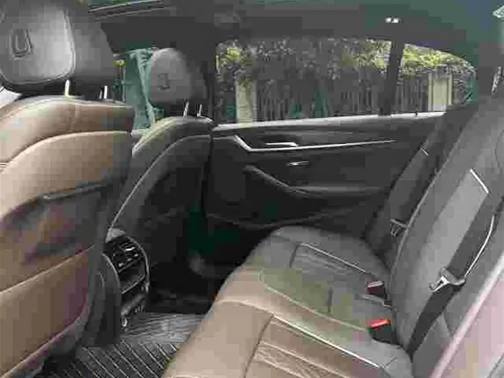 BMW 5 Series New Energy 2021 из CN, фото 2