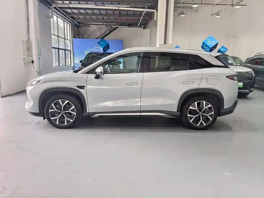 BYD L DM-i — фото 4