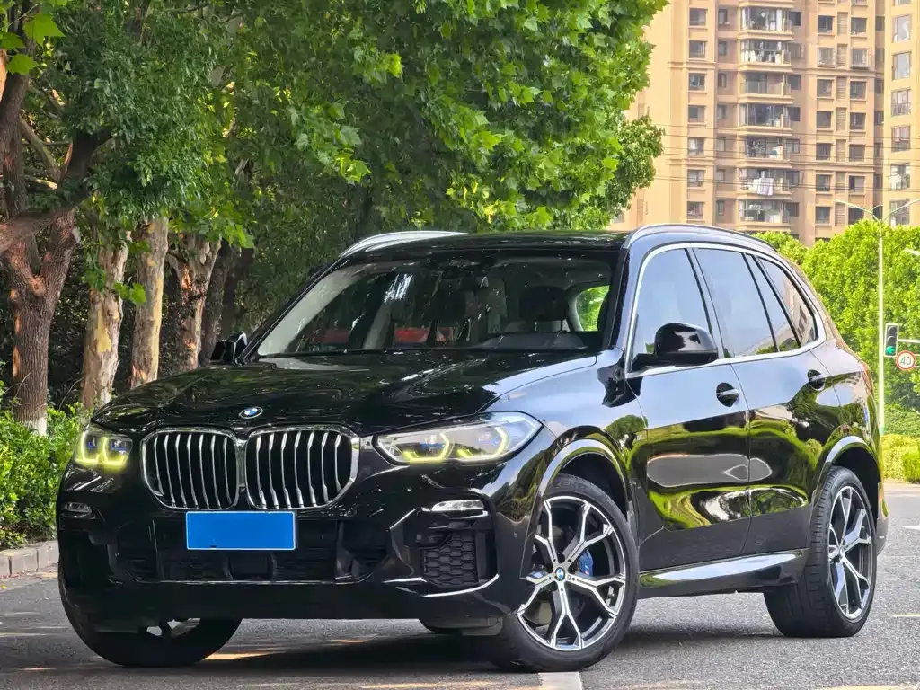 BMW X5 (Import) — фото 1