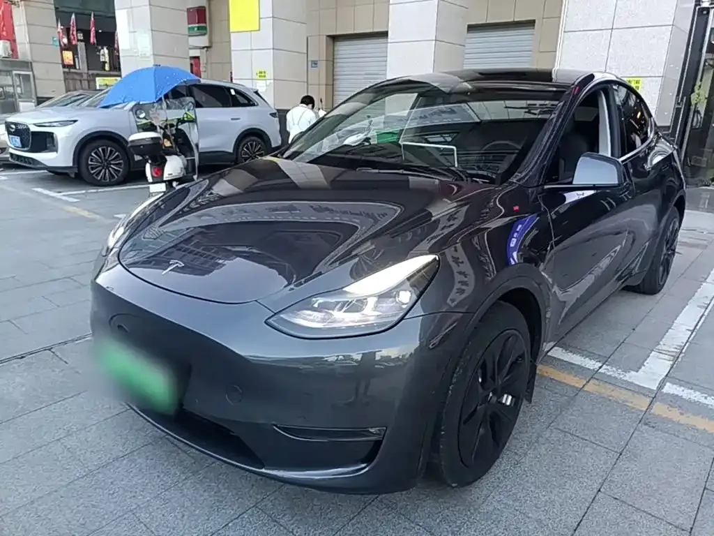 Tesla Model Y — фото 1