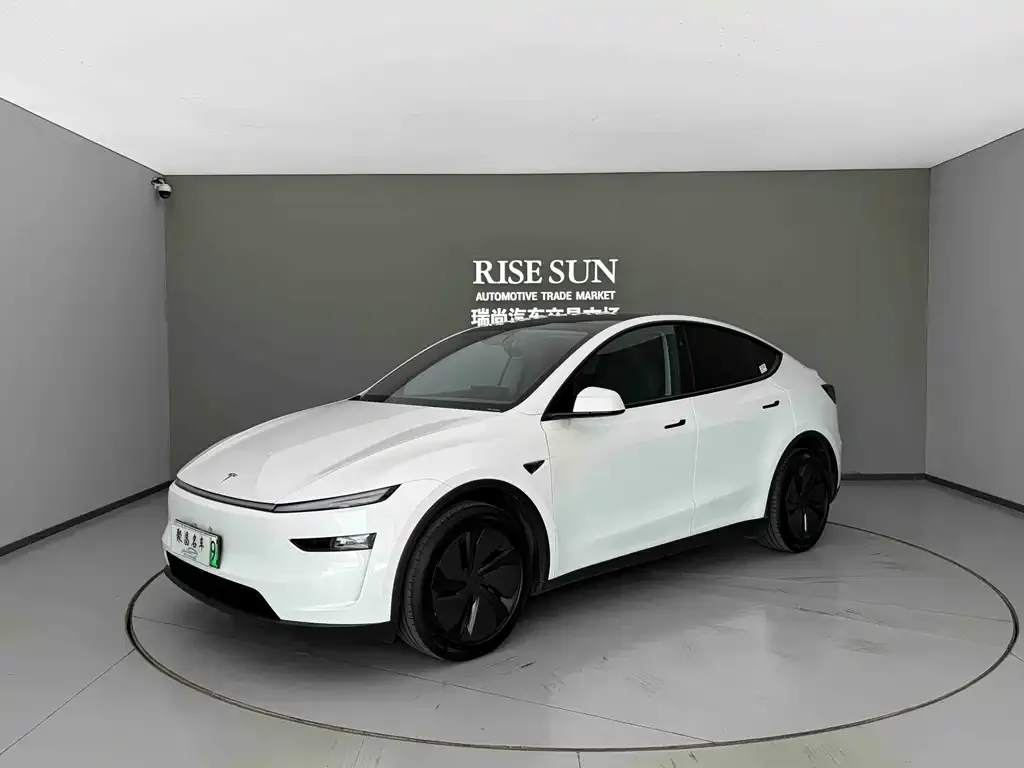 Tesla Model Y — фото 1