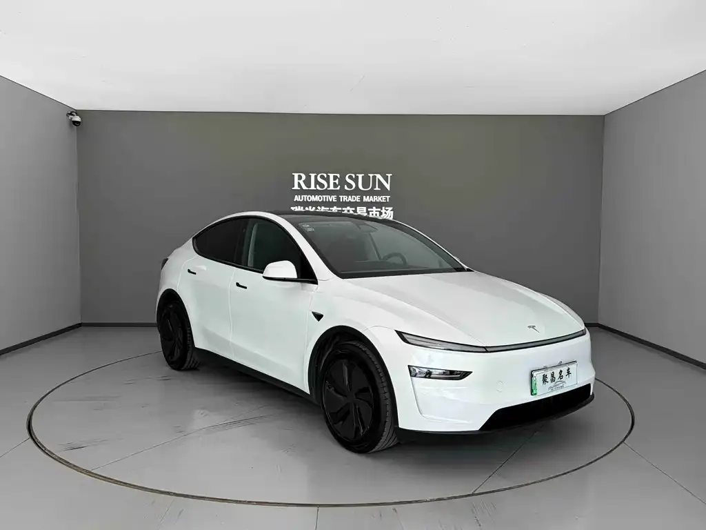 Tesla Model Y — фото 5