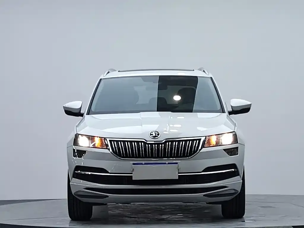 Skoda Karoq — фото 8
