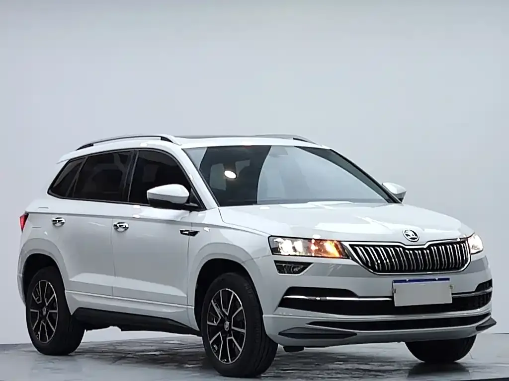 Skoda Karoq — фото 5