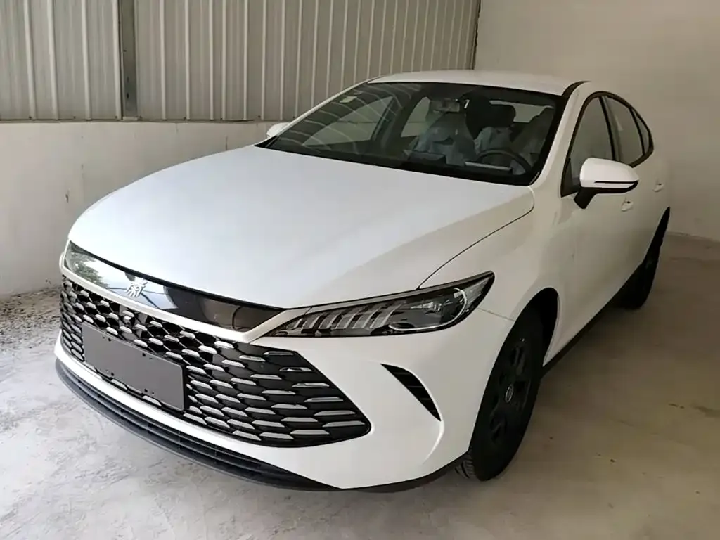 BYD Qin PLUS — фото 1