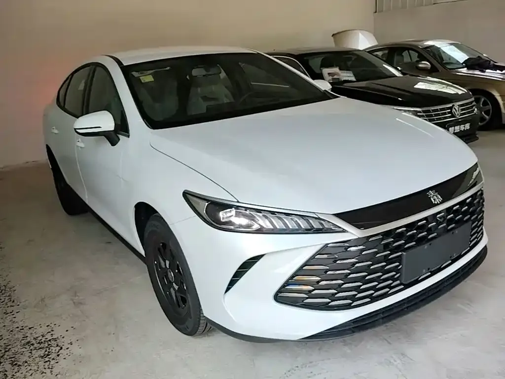 BYD Qin PLUS — фото 8
