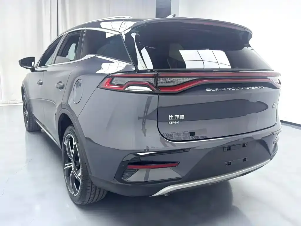 BYD Tang New Energy — фото 5