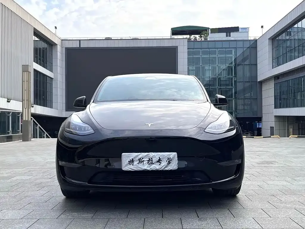 Tesla Model Y — фото 5