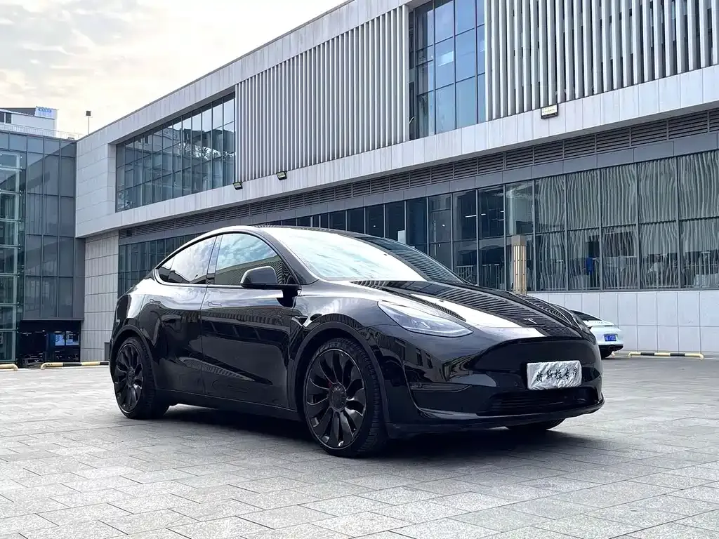 Tesla Model Y — фото 4