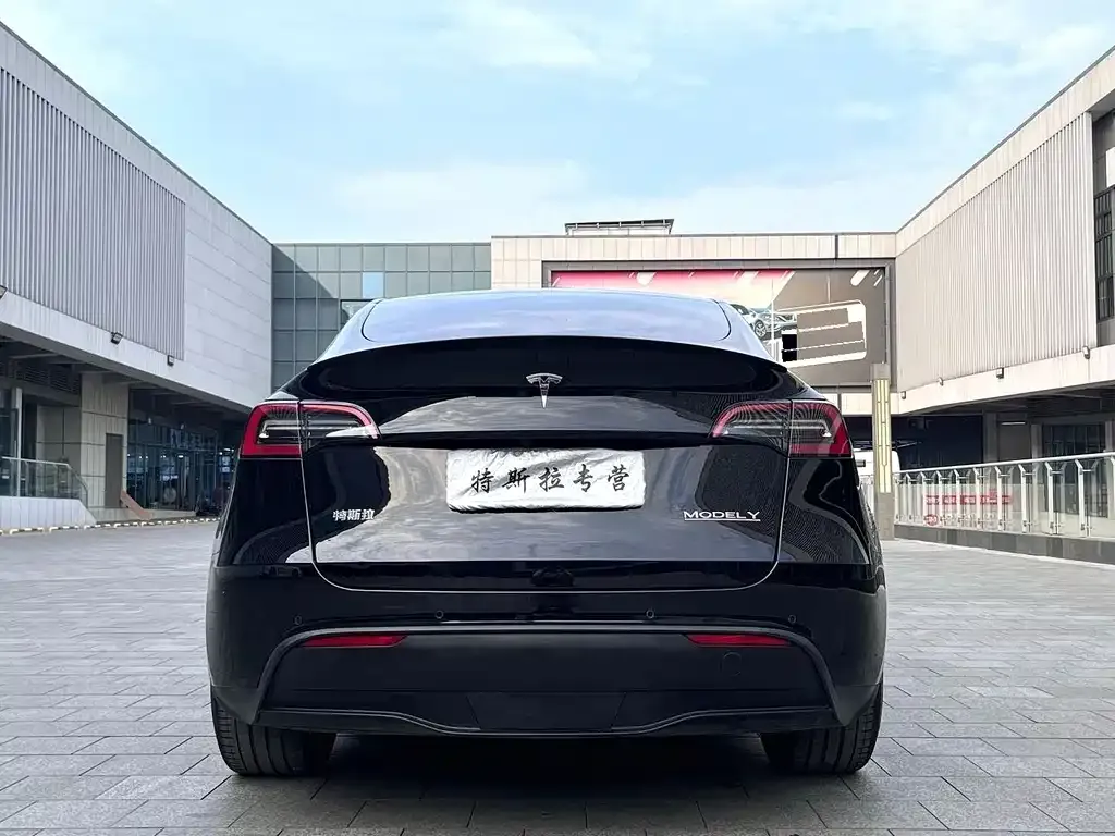 Tesla Model Y — фото 2
