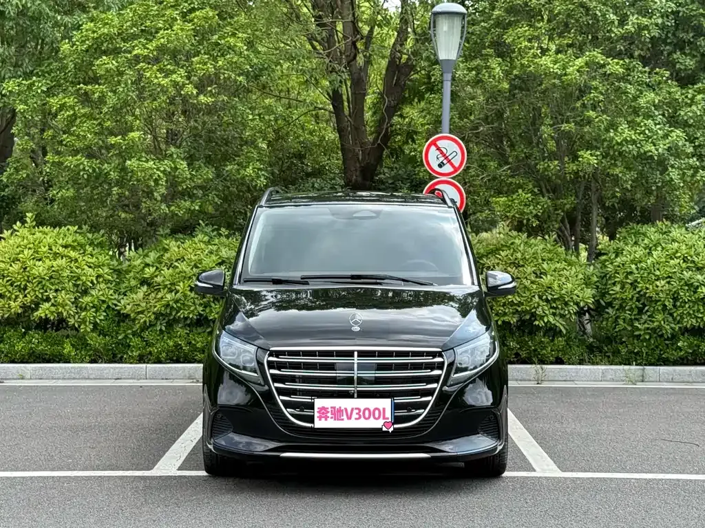 Mercedes-Benz V-Class — фото 1