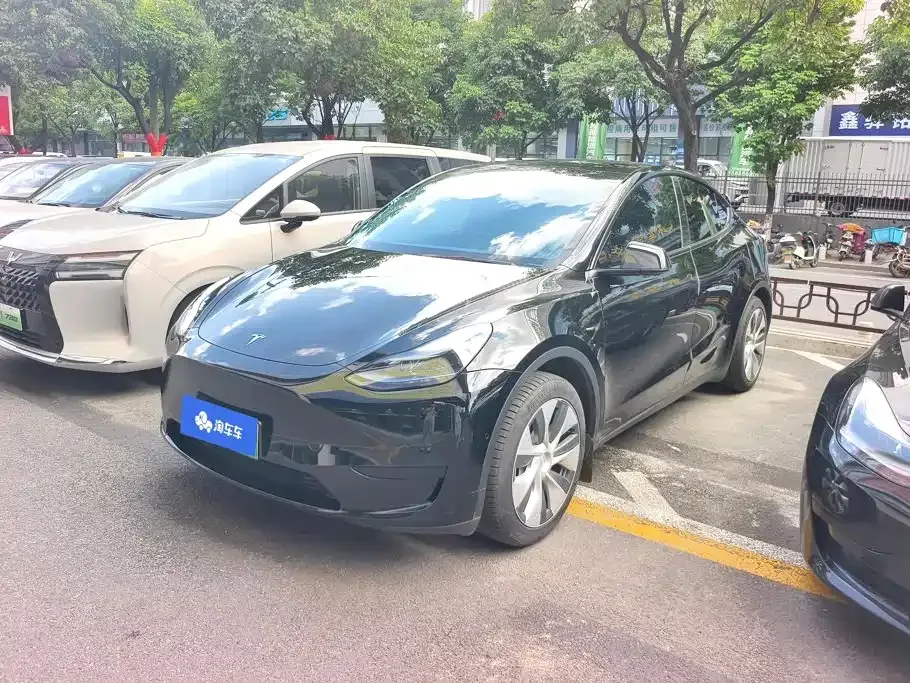 Tesla Model Y — фото 1