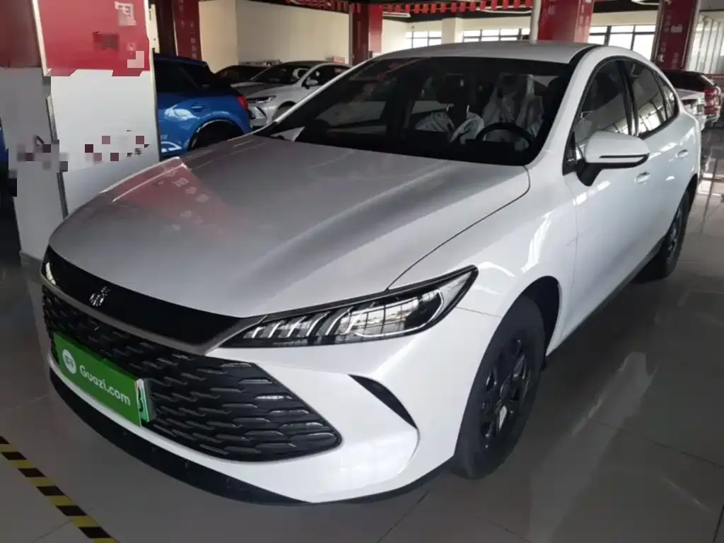 BYD Qin PLUS — фото 1