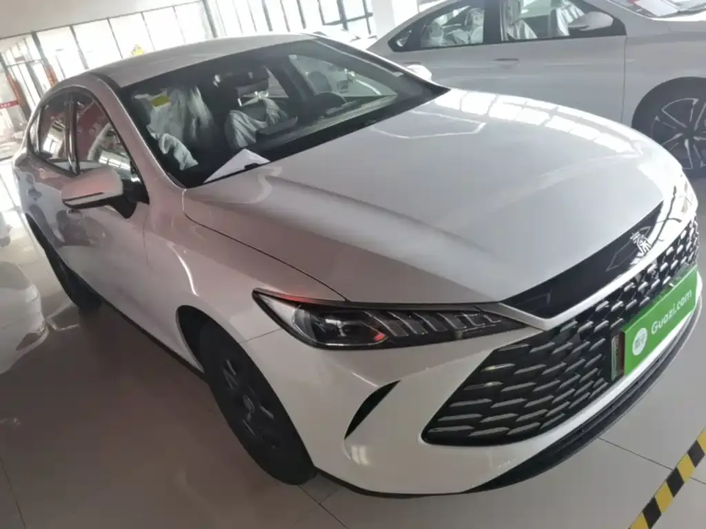 BYD Qin PLUS — фото 3