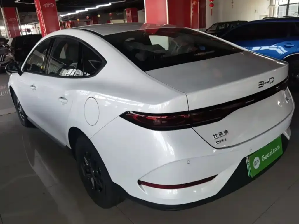 BYD Qin PLUS — фото 8