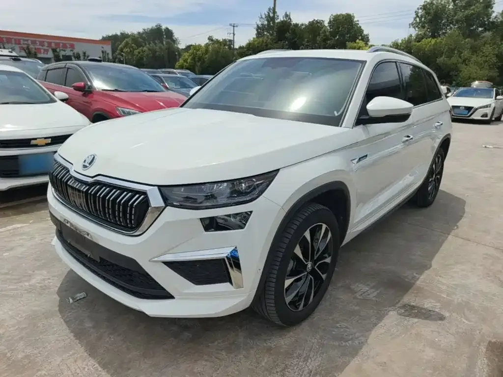 Skoda Kodiaq 2024 из CN, фото 2