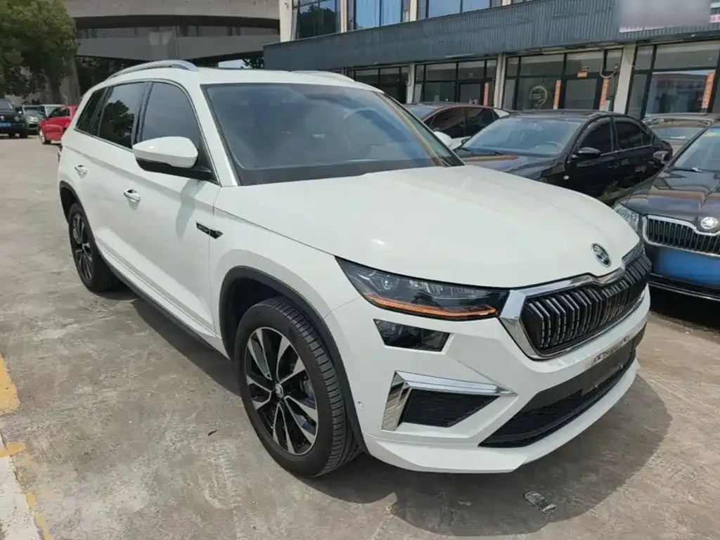 Skoda Kodiaq 2024 из CN, фото 6