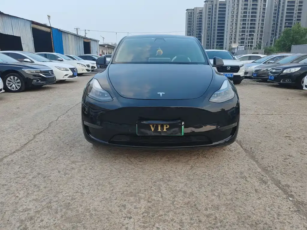Tesla Model Y — фото 3