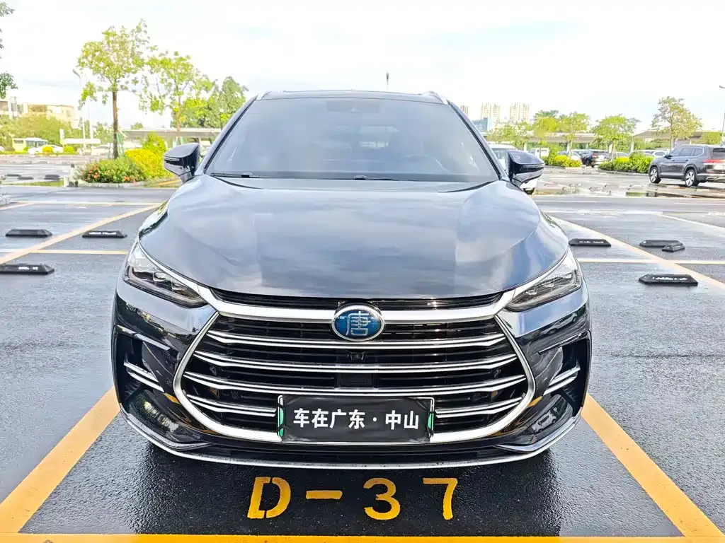 BYD Tang New Energy — фото 4
