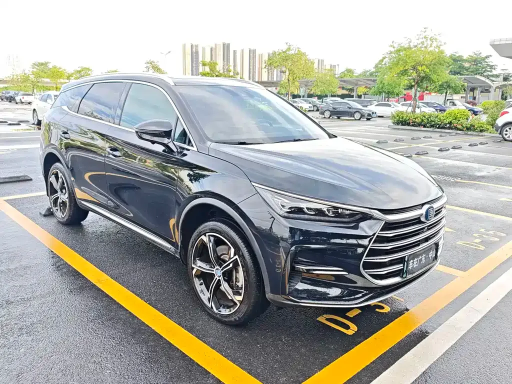 BYD Tang New Energy — фото 9