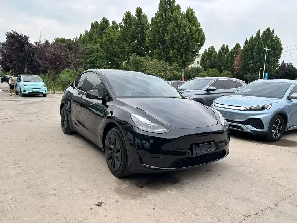 Tesla Model Y — фото 6