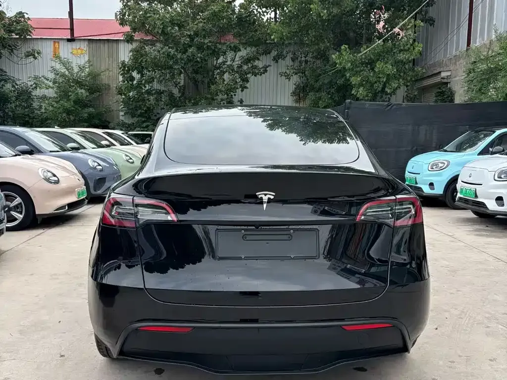 Tesla Model Y — фото 5