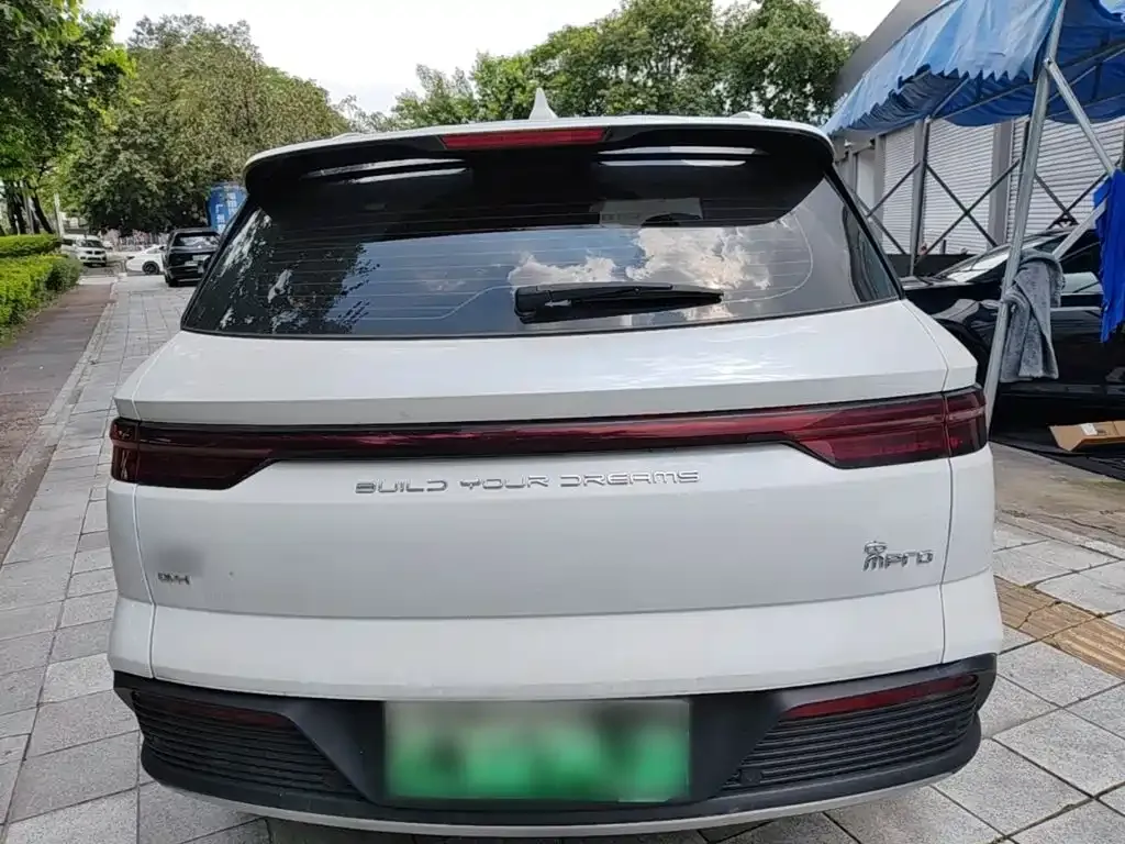 BYD Pro New Energy — фото 4
