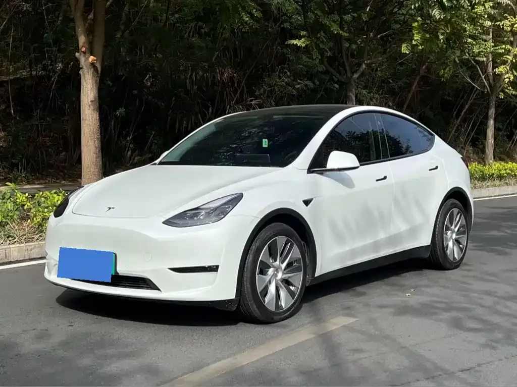 Tesla Model Y — фото 1