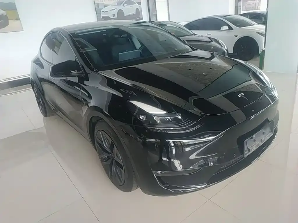 Tesla Model Y — фото 6