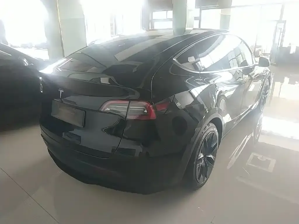 Tesla Model Y — фото 10