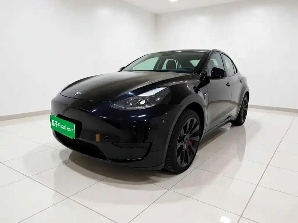 Tesla Model Y — фото 1