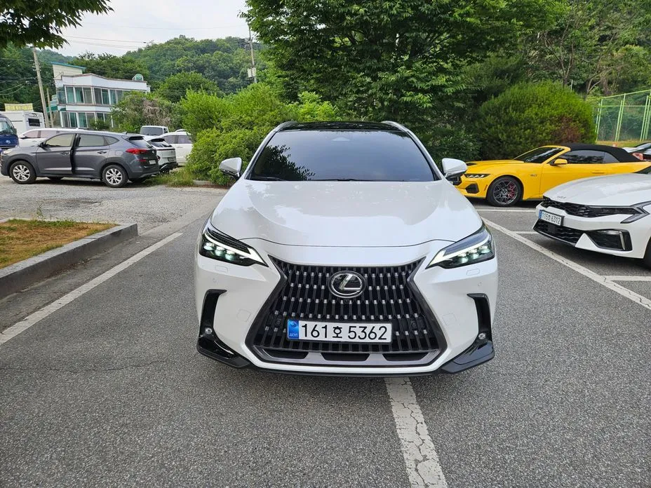 Lexus NX 2024 из KR, фото 9