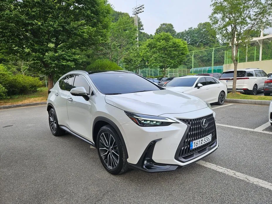Lexus NX 2024 из KR, фото 10