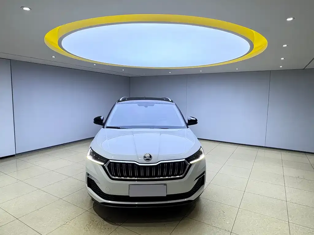 Skoda Kamiq — фото 7