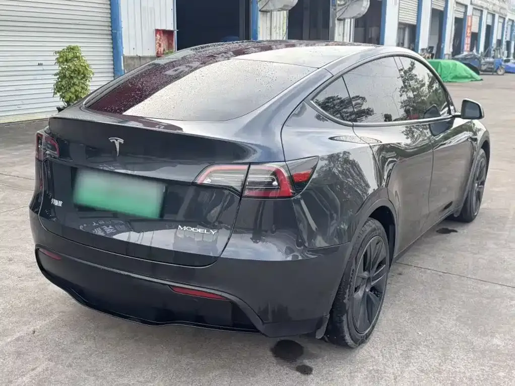 Tesla Model Y — фото 10