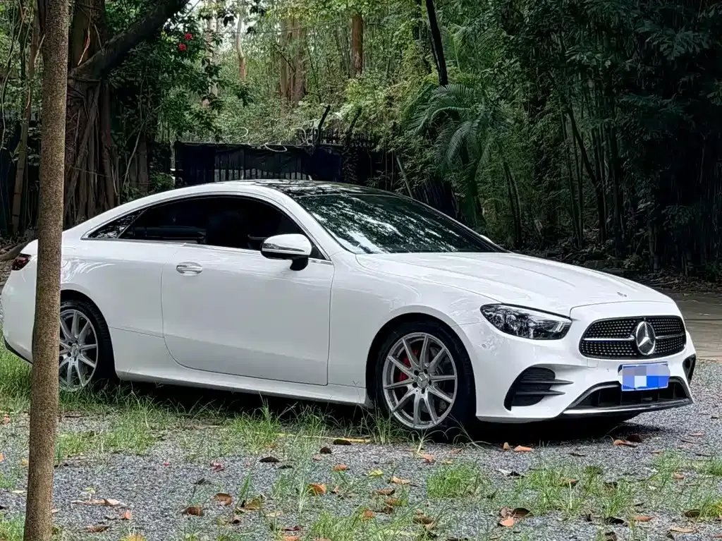 Mercedes-Benz E-Class (Import) — фото 8