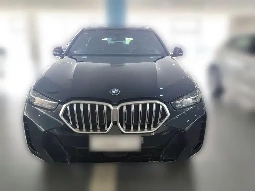 BMW X6 — фото 4