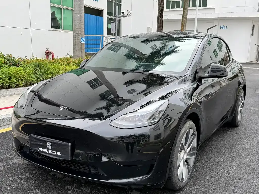 Tesla Model Y — фото 1