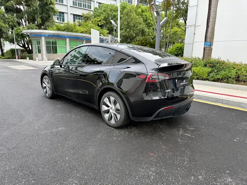 Tesla Model Y — фото 10