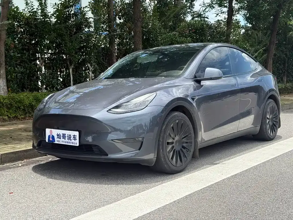 Tesla Model Y — фото 1