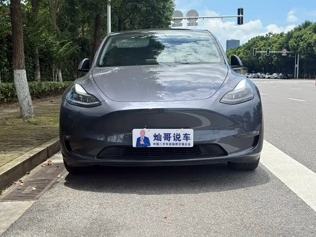 Tesla Model Y — фото 8