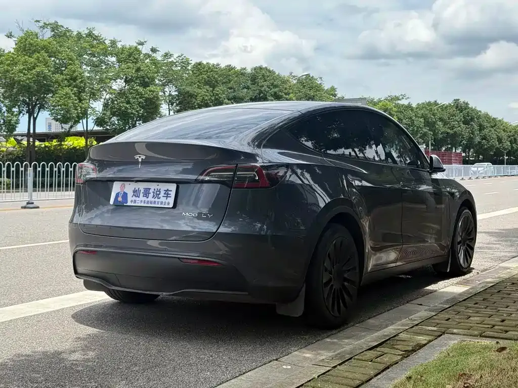 Tesla Model Y — фото 5
