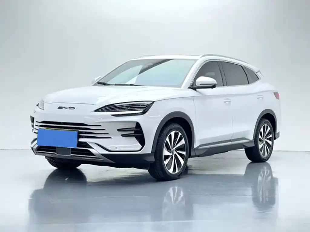 BYD PLUS New Energy — фото 1