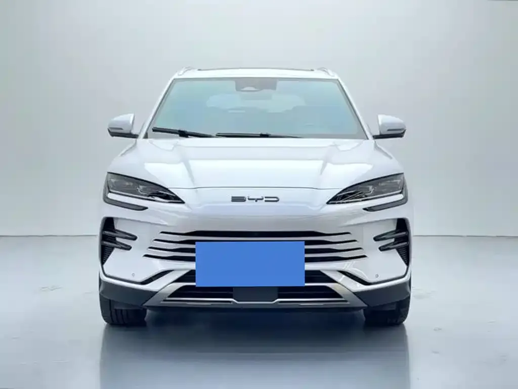 BYD PLUS New Energy — фото 4