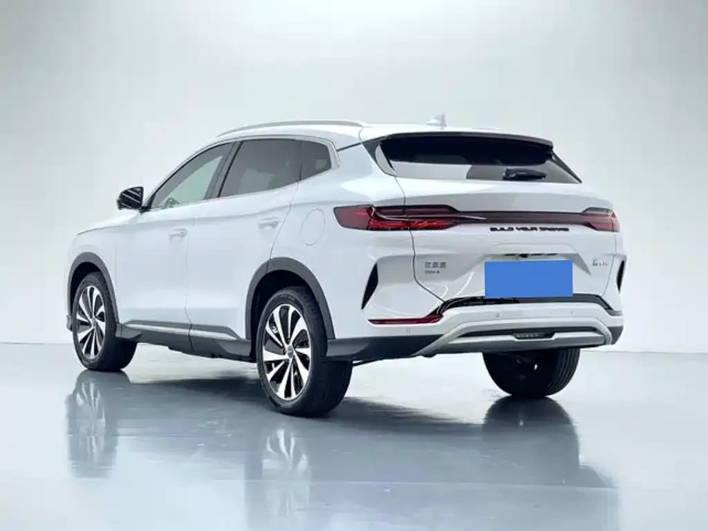 BYD PLUS New Energy — фото 8